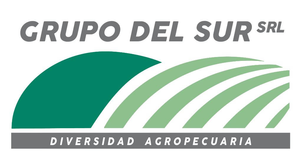 Grupo del Sur